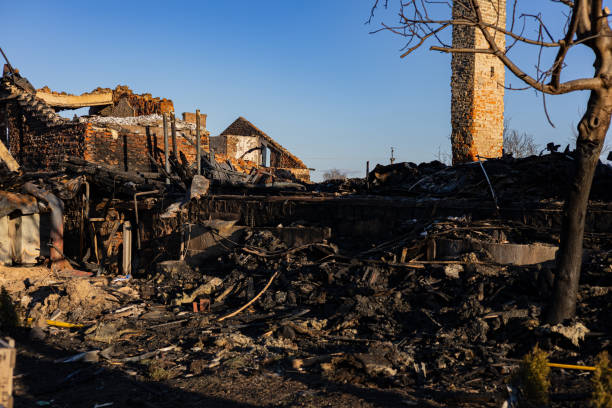 Reliable Content Restoration contractor in Tarpon Springs, FL by Fire Damage Doption